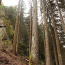 IMG_5598.jpg...